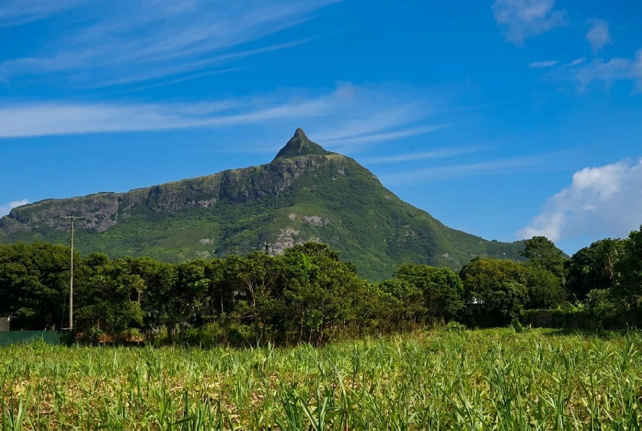 Le Pouce Mountain Mauritius Hiking