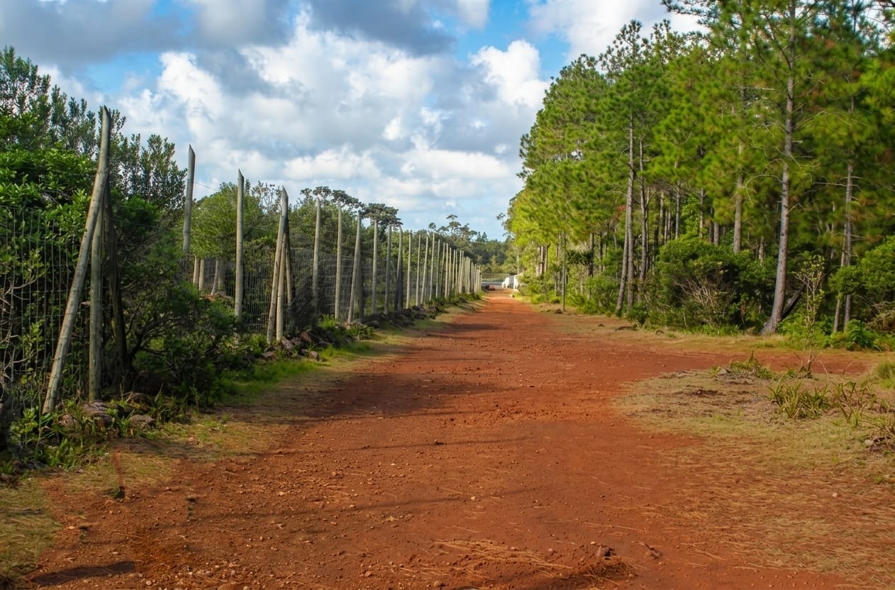 Mare Aux Joncs Red Earth Hiking Track Mauritius