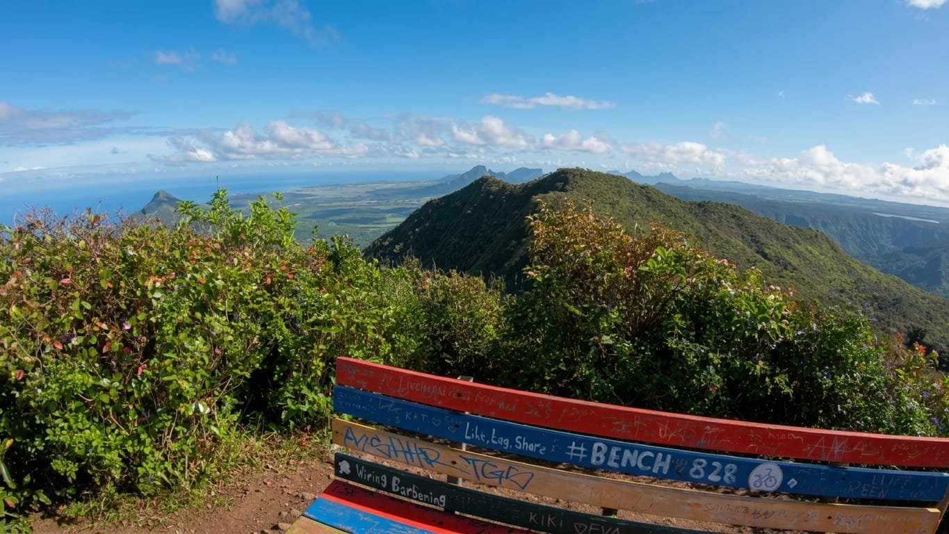 Black River Peak Summit Bench Hiking Trail