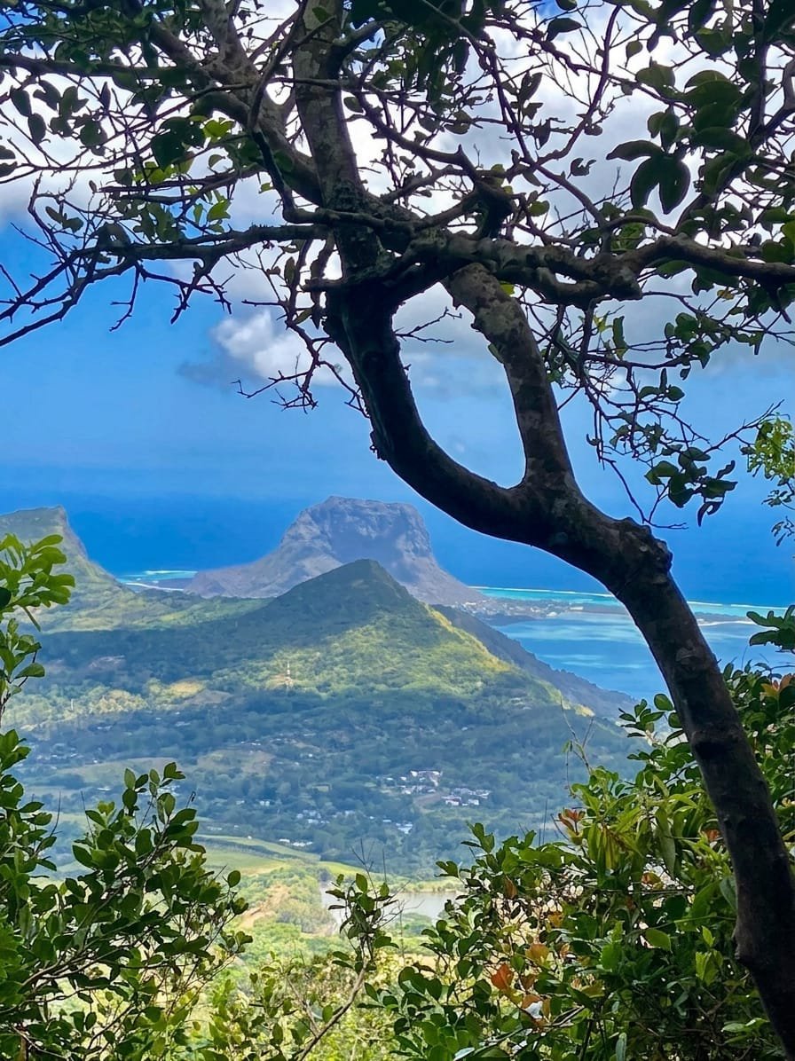 Hiking Black River Peak Le Morne View Mauritius