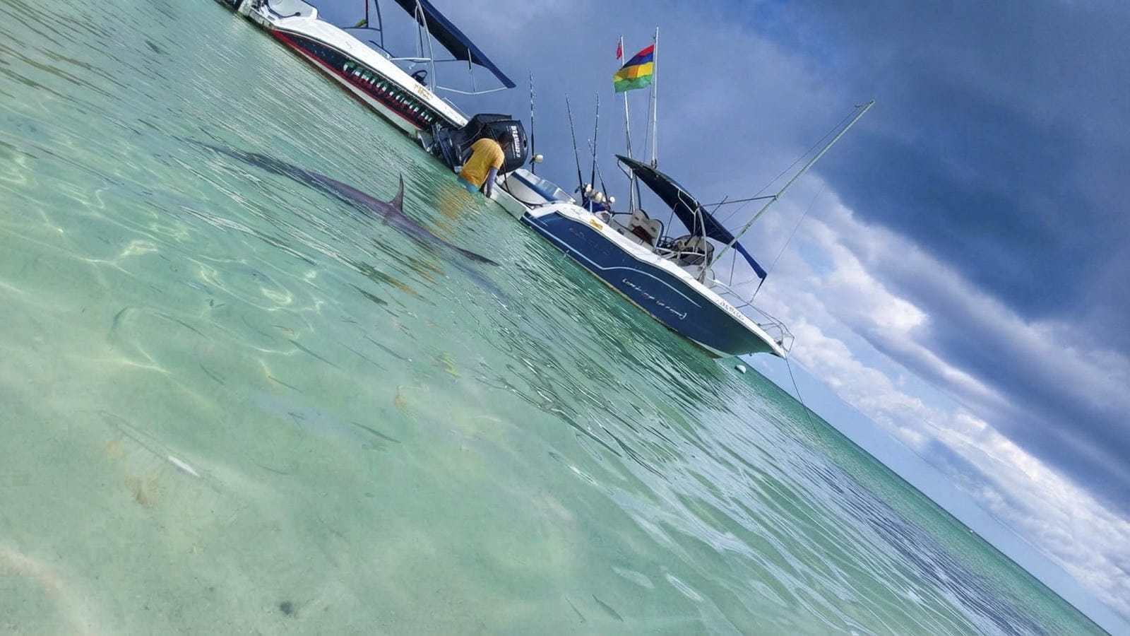 North Mauritius Big Game Fishing Boat Charter