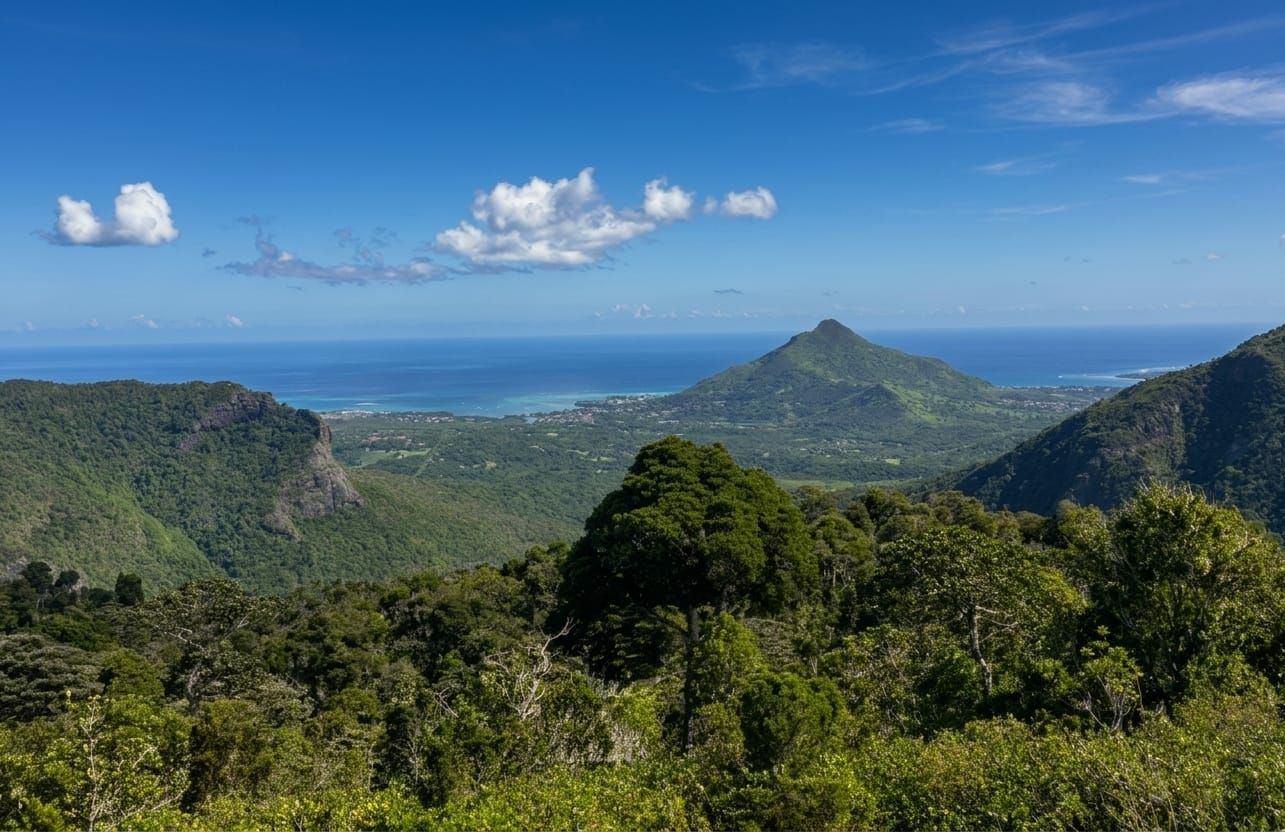 Black River Gorges National Park Viewpoint Mauritius